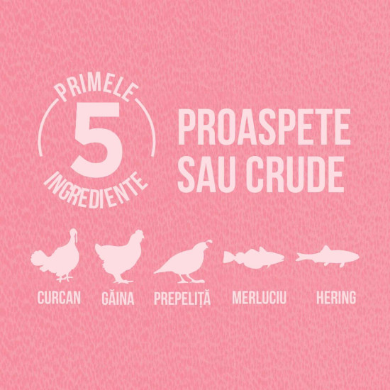 ORIJEN Small Breed – hrană uscată fără cereale pentru câini adulți de talie mică, 1,8 kg